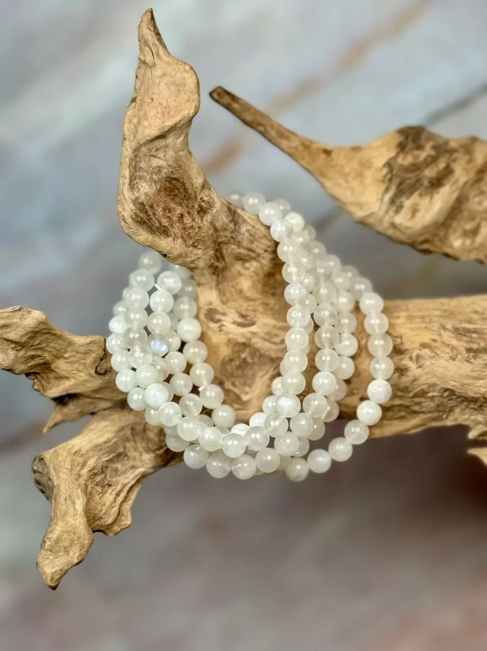 plant/white moonstone 6mm-0