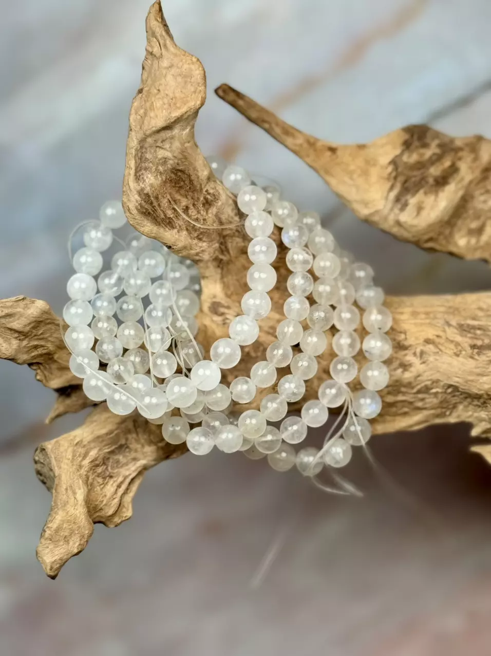 plant/white moonstone 6mm-8mm-0