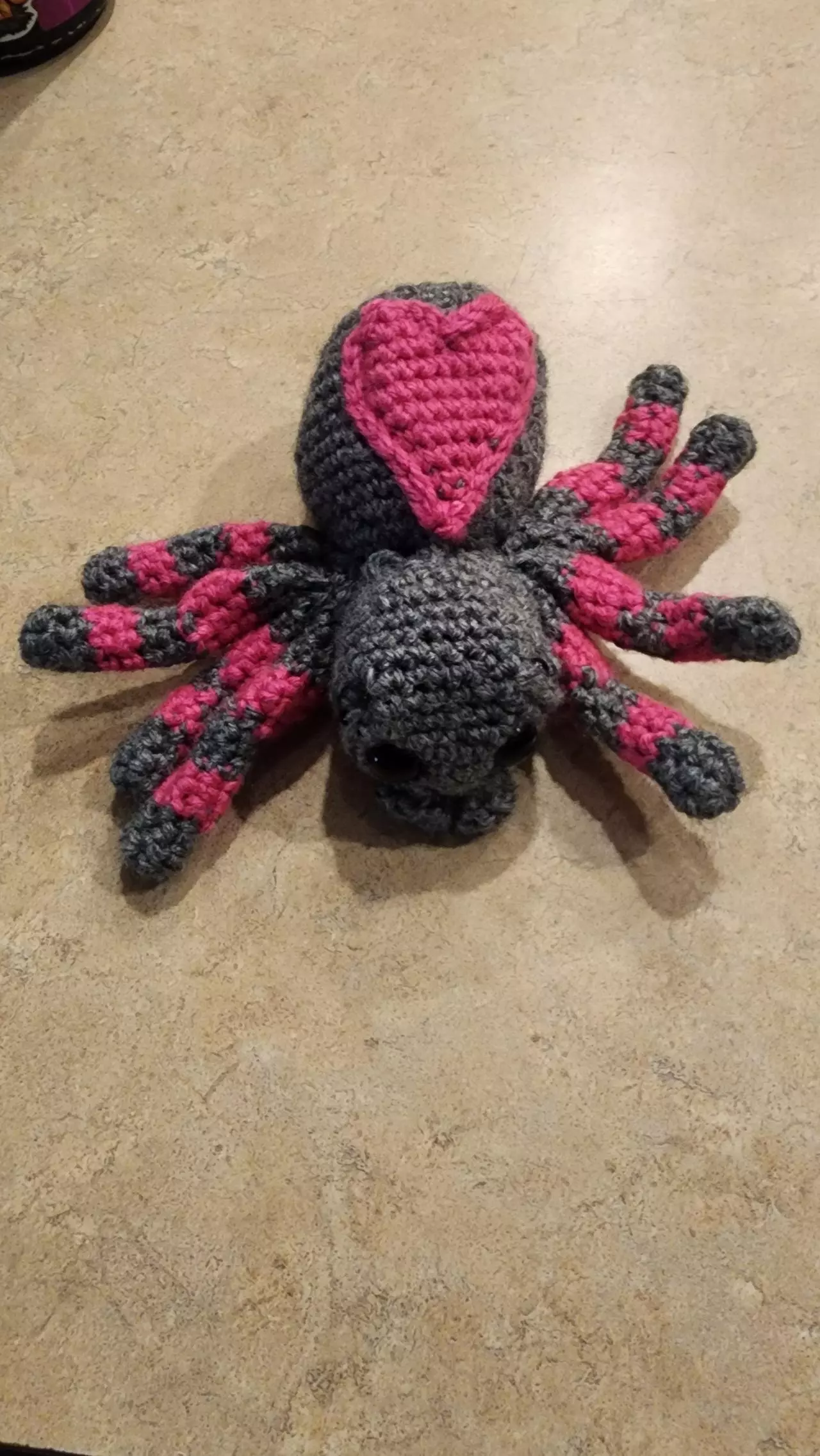 plant/Spider for Krista!-0