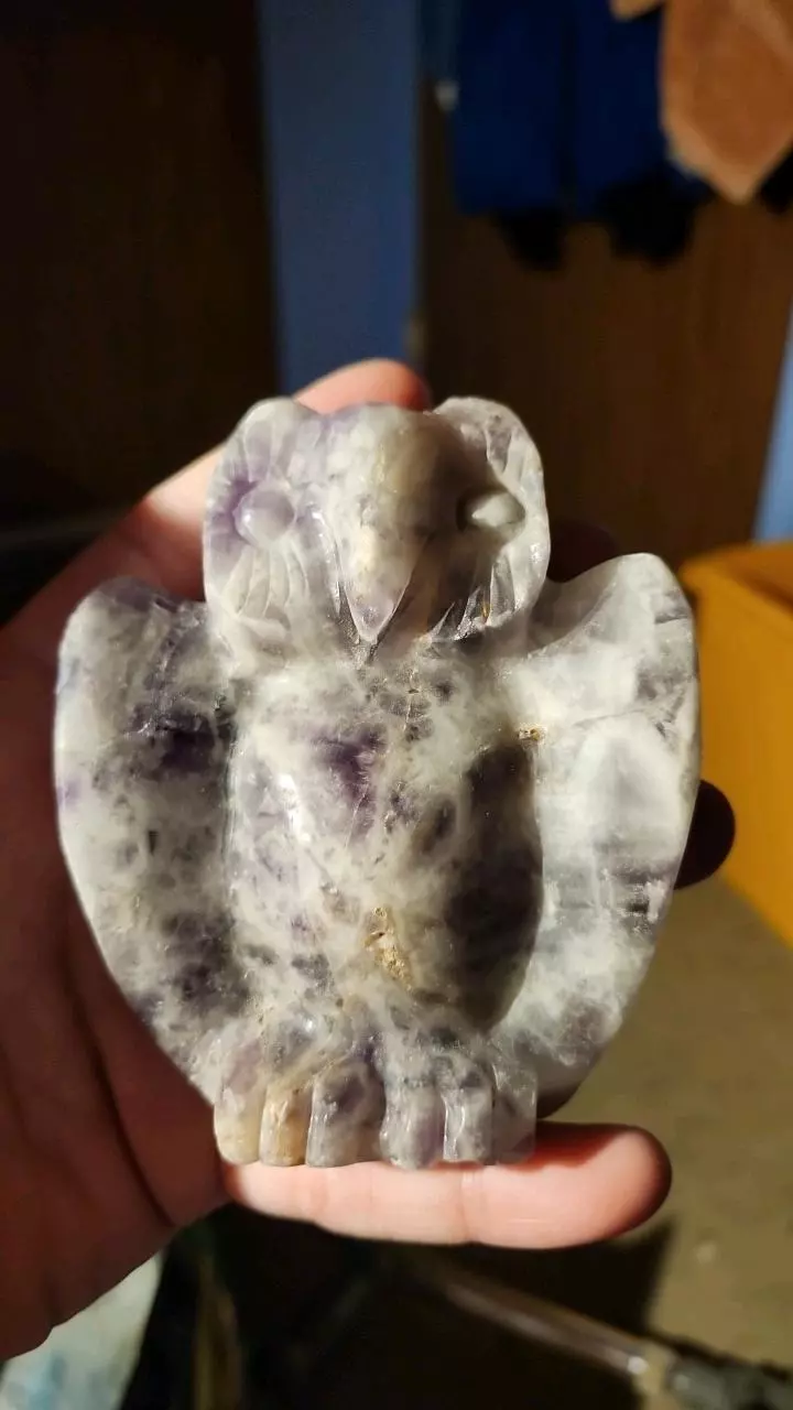 plant/Chevron amethyst ancient owl-0