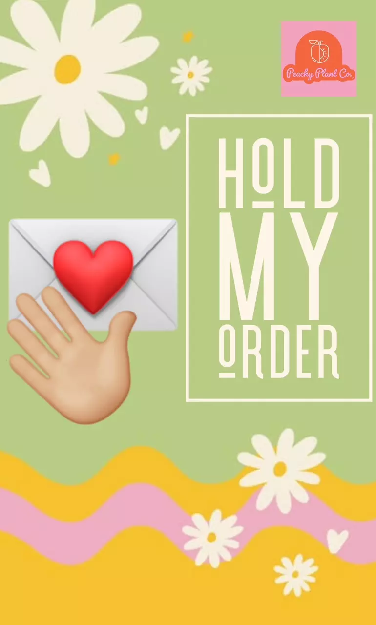 free_shipping/Hold My Order-0