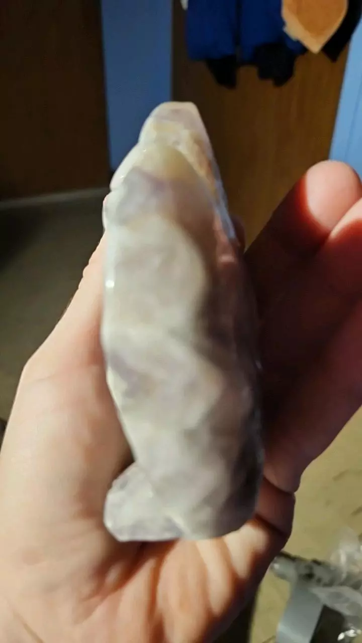 plant/Chevron amethyst ancient owl-1