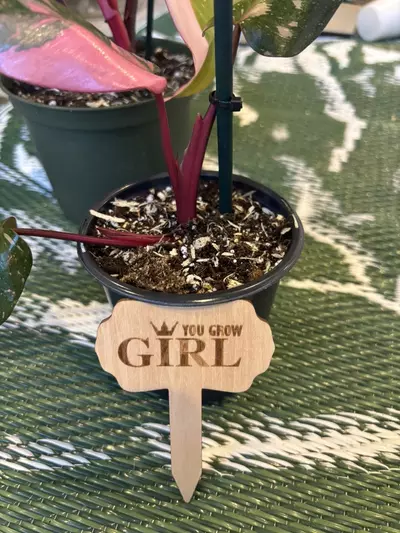 plant/Funny plant stakes (6)-3-thumbnail