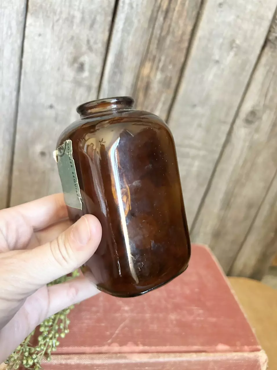 plant/Vintage Levi Garret amber snuff bottle-1