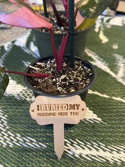 plant/Funny plant stakes (6)-2-thumbnail