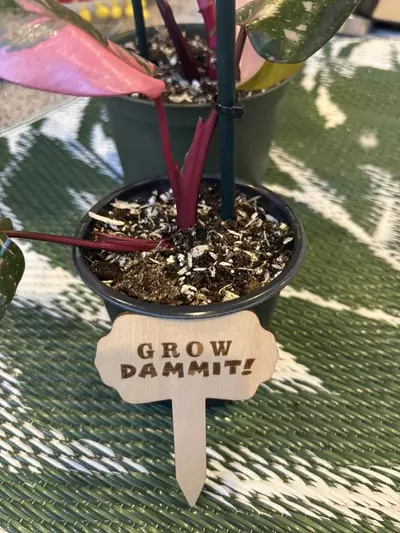 plant/Funny plant stakes (6)-1-thumbnail