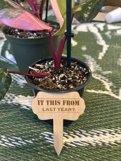 plant/Funny-plant stakes (5)-2-thumbnail