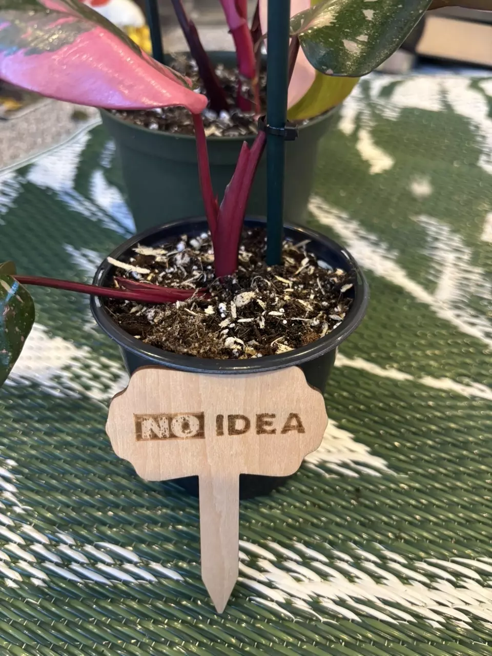 plant/Funny plant stakes (6)-5