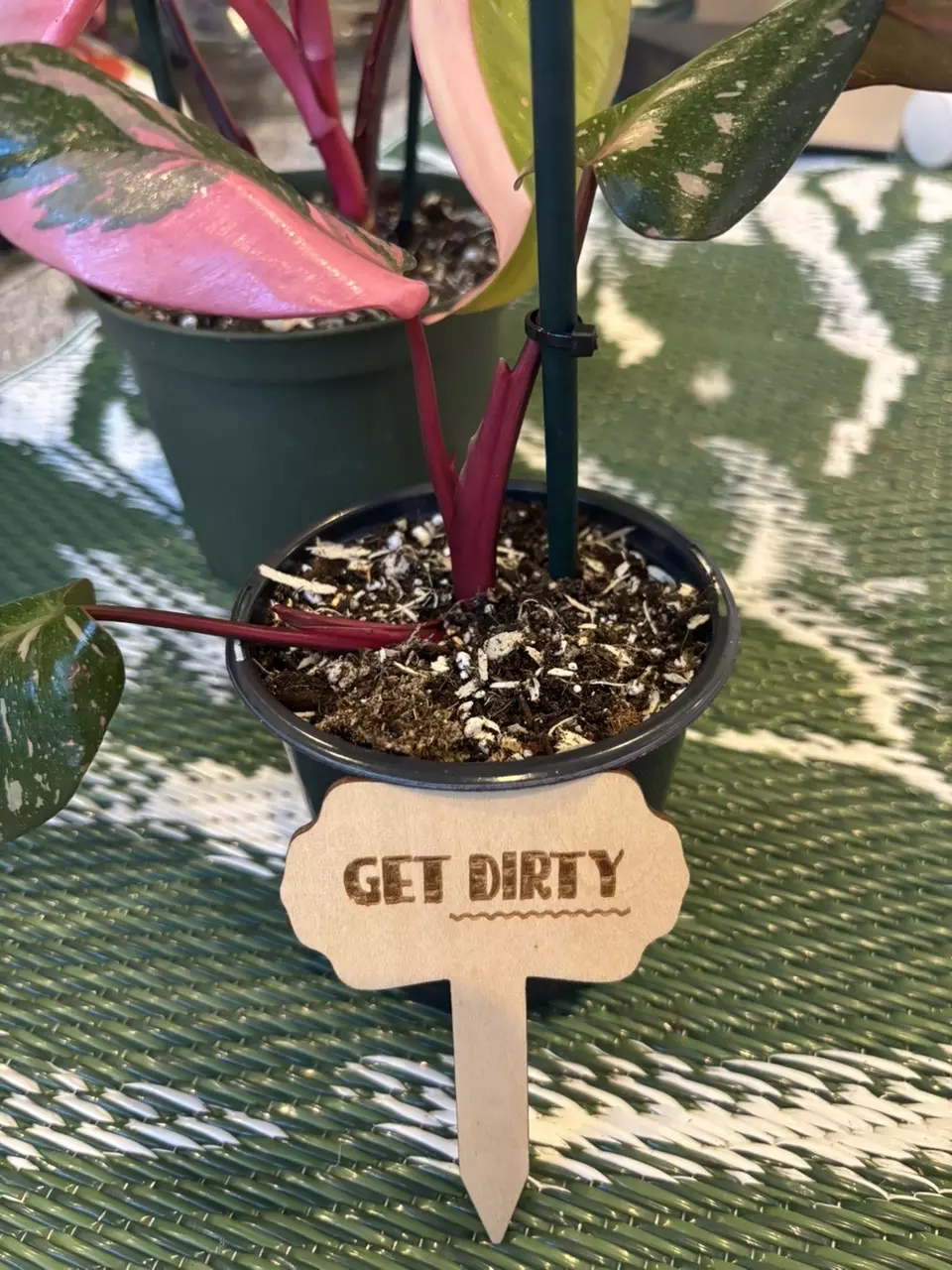 plant/Funny plant stakes (6)-1