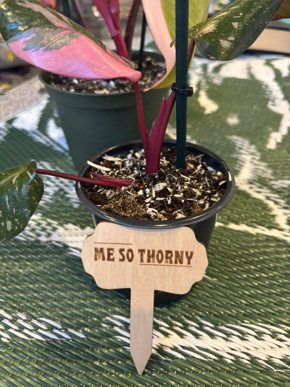 plant/Funny plant stakes (6)-5