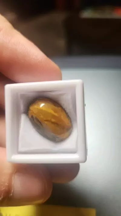 plant/12.55ct Boulder Opal – Queensland Oval Cab-0-thumbnail