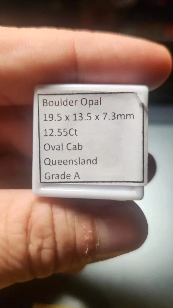 plant/12.55ct Boulder Opal – Queensland Oval Cab-1