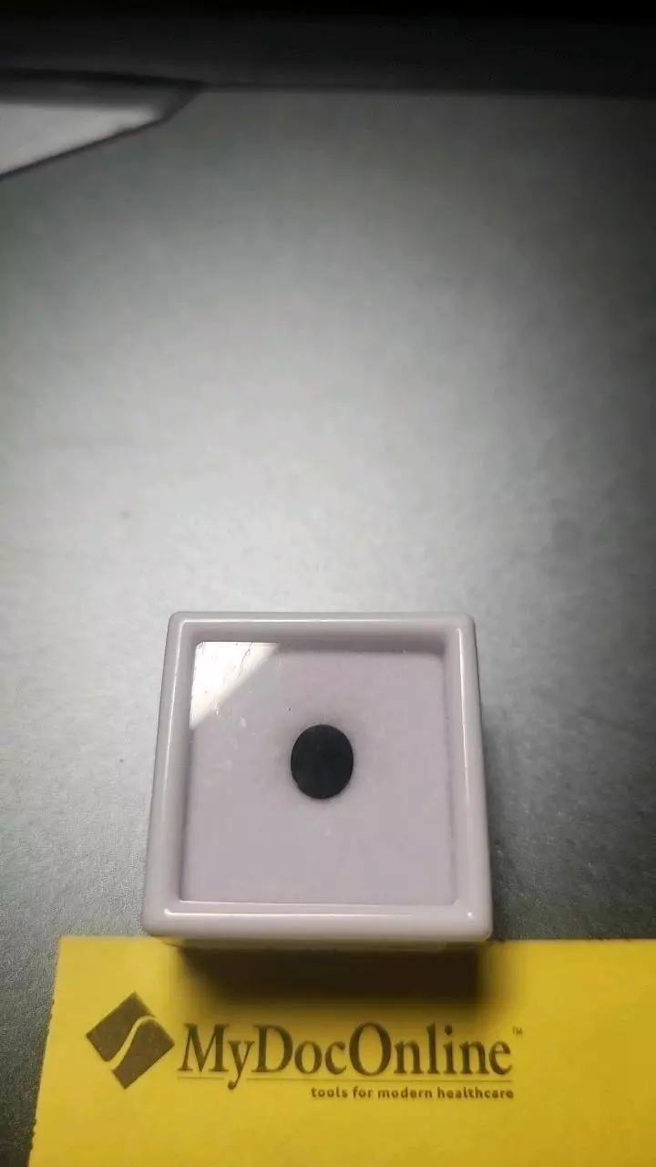 plant/1.08ct Blue-Green Sapphire – AAA Oval Brilliant-0