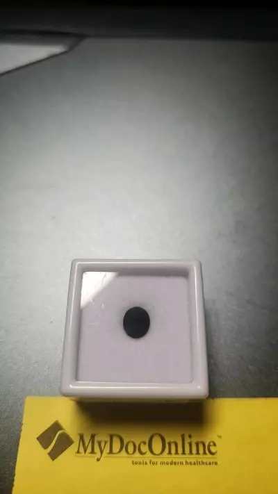 plant/1.08ct Blue-Green Sapphire – AAA Oval Brilliant-0-thumbnail