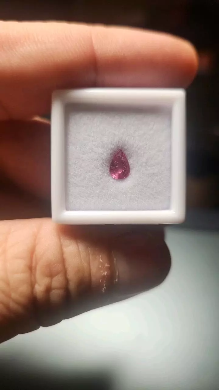 plant/0.70ct Pink Sapphire – AAA Pear Brilliant-0