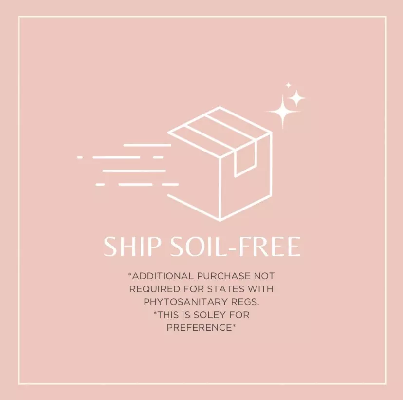 free_shipping/SHIP SOIL-FREE (NOT REQUIRED)-0