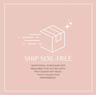 free_shipping/SHIP SOIL-FREE (NOT REQUIRED)-0-thumbnail