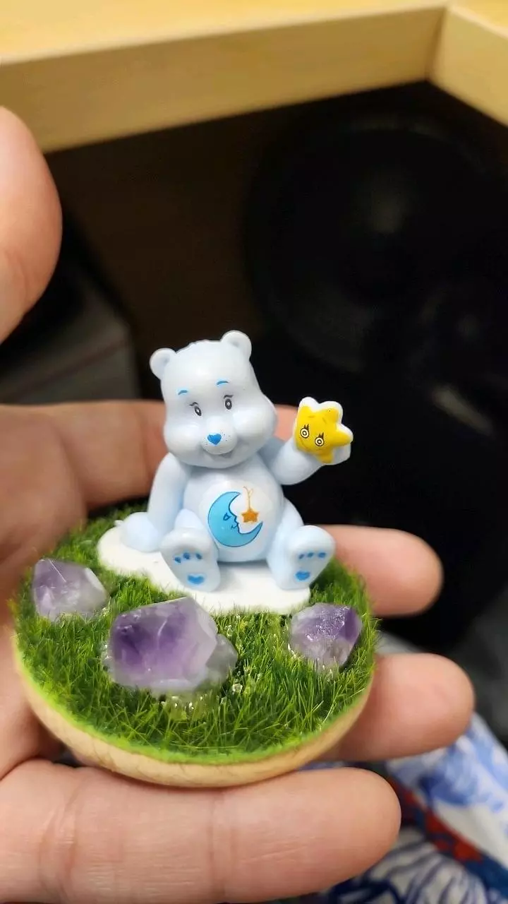 plant/Night time bear-1