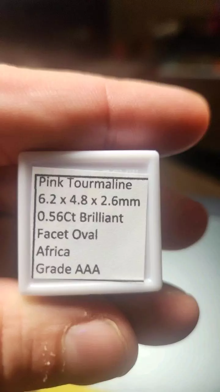 plant/0.56ct Pink Tourmaline – AAA Oval Brilliant-1