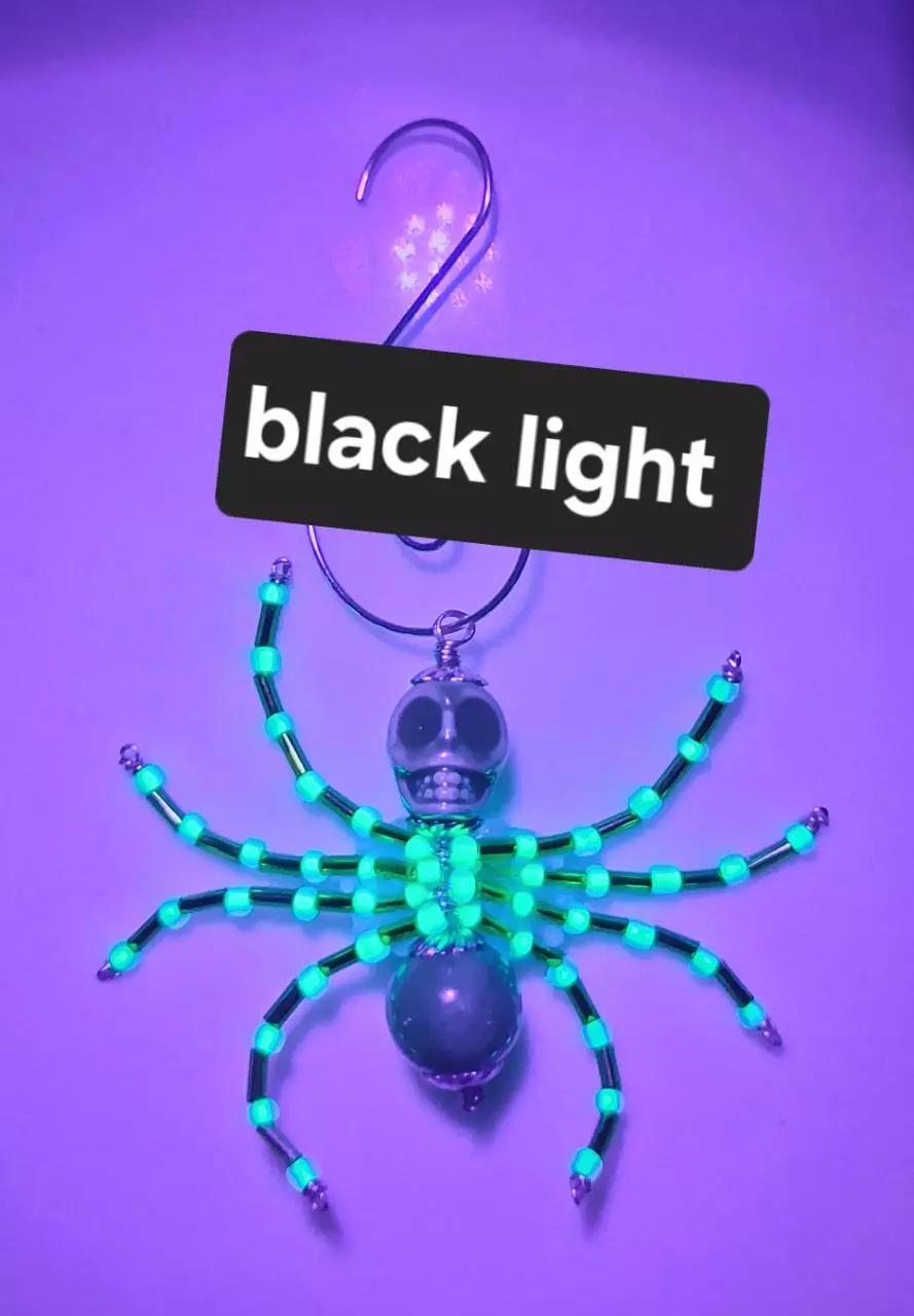 plant/Spider ornament-1