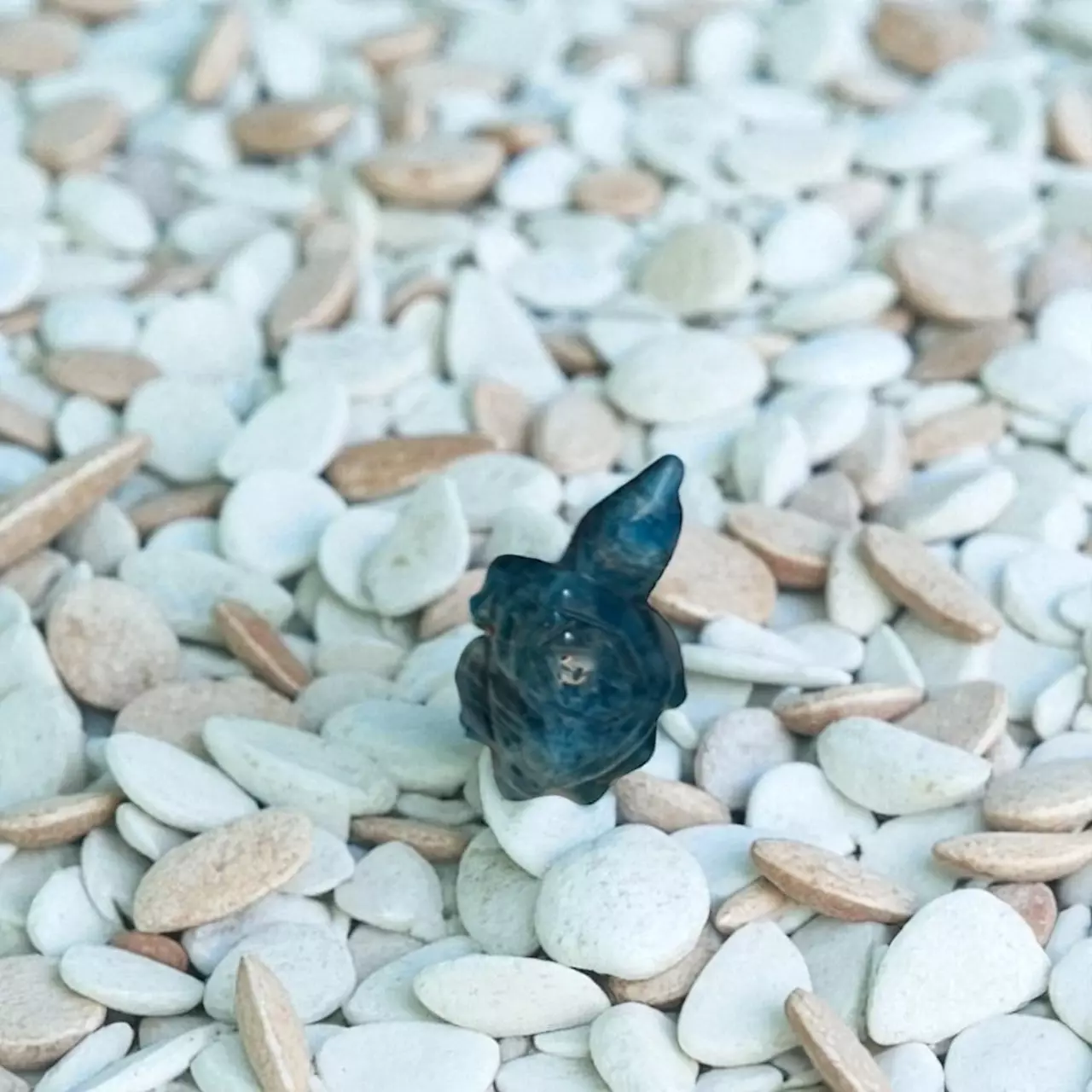 plant/Turtle-0
