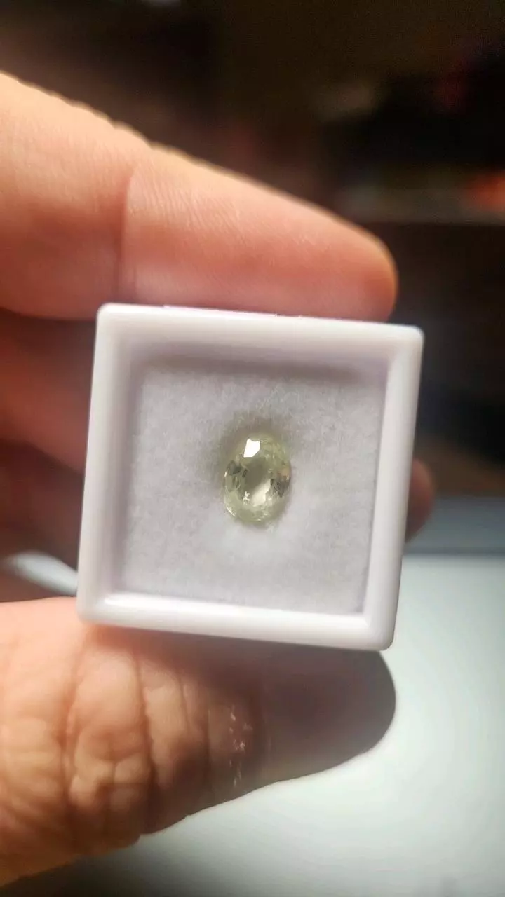 plant/1.76ct Green Grossular Garnet – AAA Oval Brilliant-0