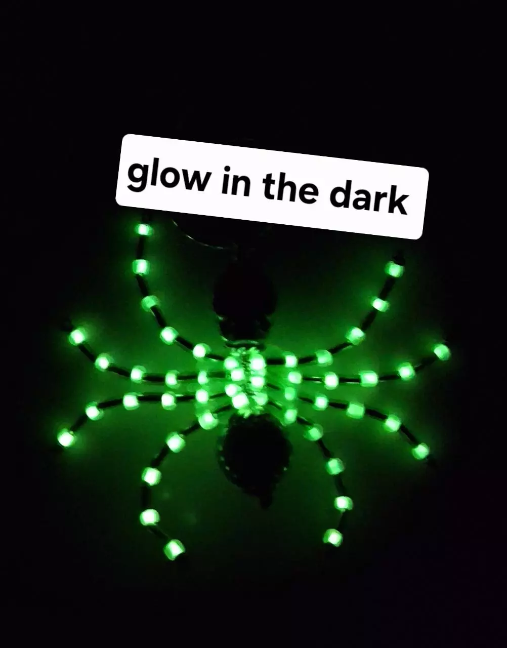 plant/Spider ornament-2