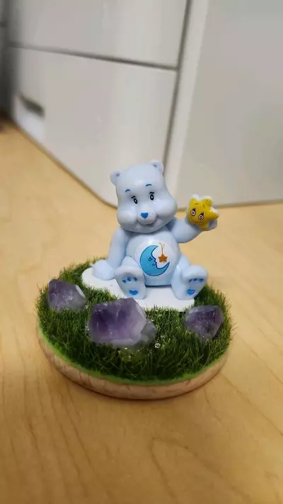 plant/Night time bear-0-thumbnail