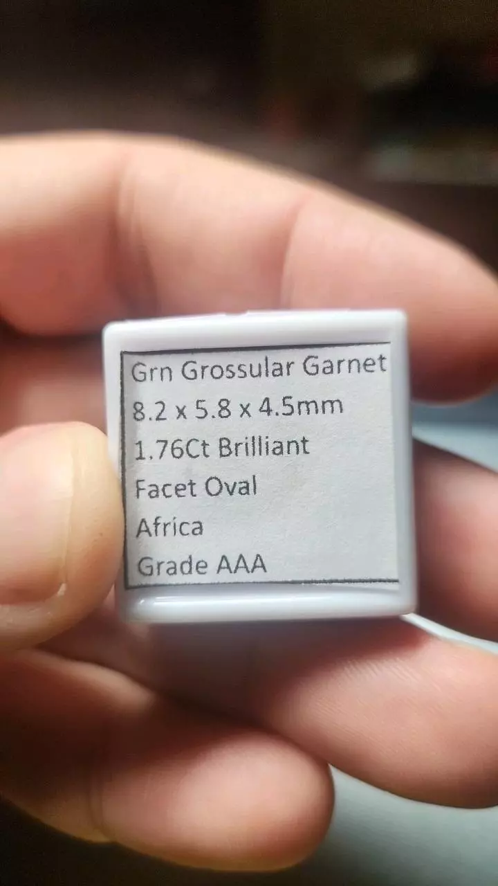 plant/1.76ct Green Grossular Garnet – AAA Oval Brilliant-1