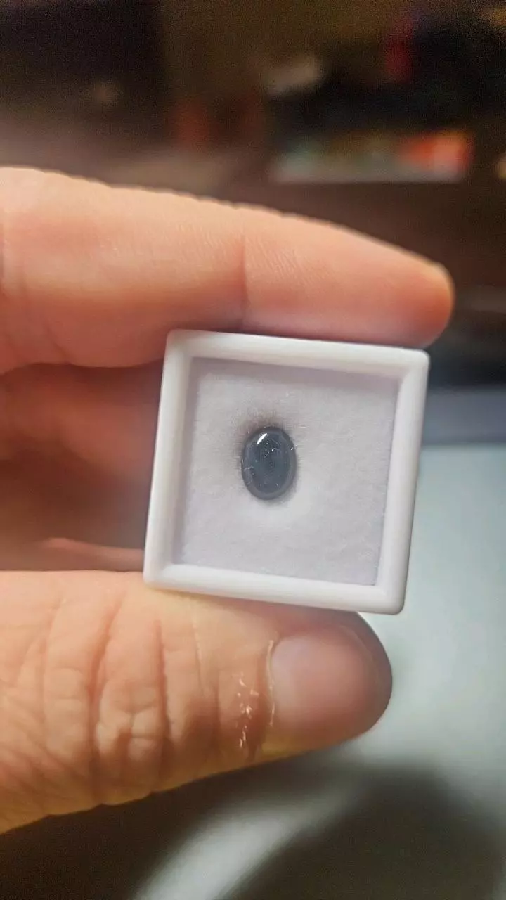 plant/2.35ct Blue Star Sapphire – AAA Oval Cabochon-1