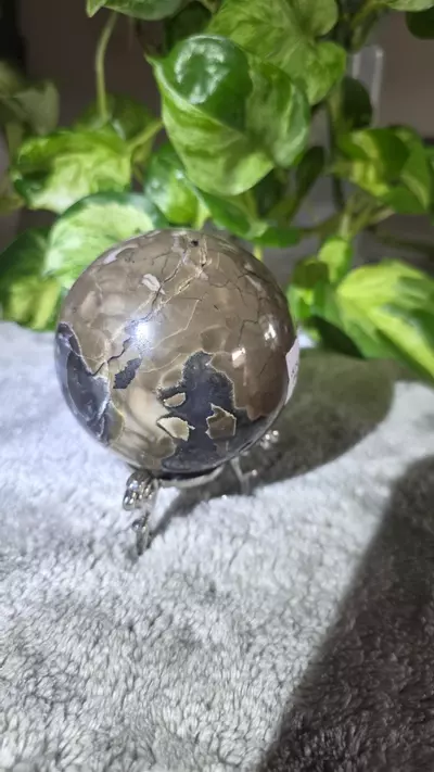 plant/1lb 8.4oz Volcano Agate Sphere 🛸-6-thumbnail