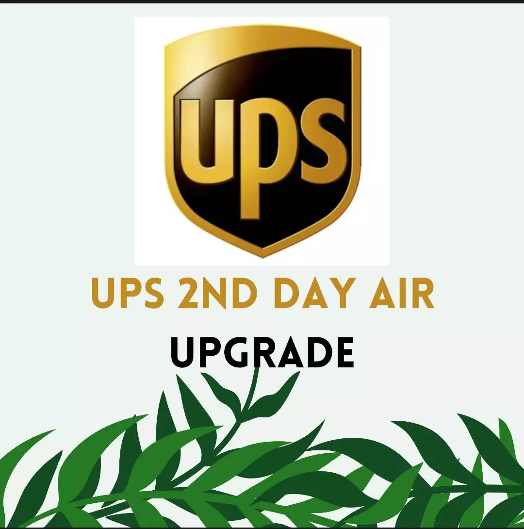 shipping_upgrade/UPS 2 day upgrade-0
