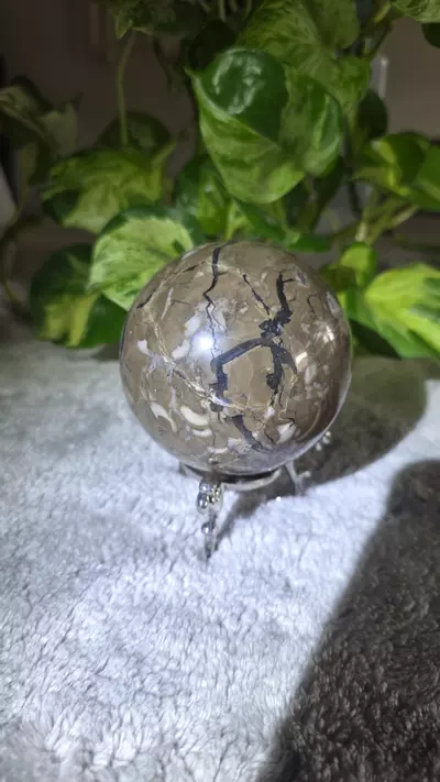 plant/1lb 8.4oz Volcano Agate Sphere 🛸-5-thumbnail