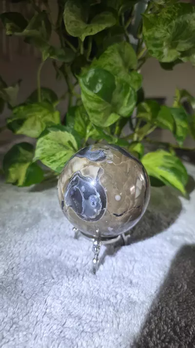 plant/1lb 8.4oz Volcano Agate Sphere 🛸-4-thumbnail