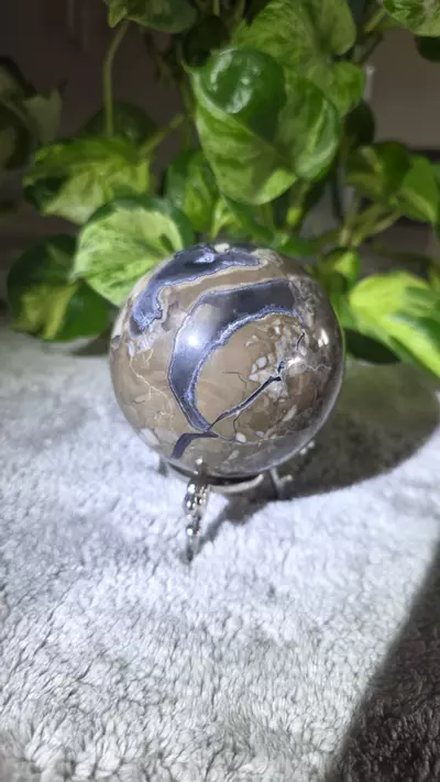 plant/1lb 8.4oz Volcano Agate Sphere 🛸-3-thumbnail
