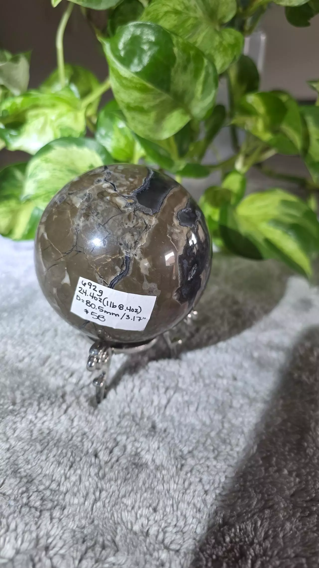 plant/1lb 8.4oz Volcano Agate Sphere 🛸-7