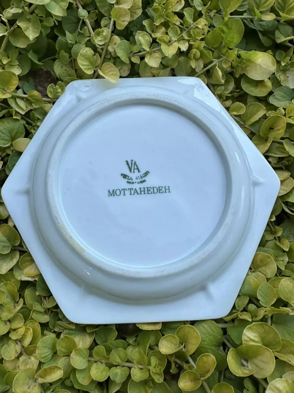 plant/Mottahedeh Hexagon 5” Plates-1
