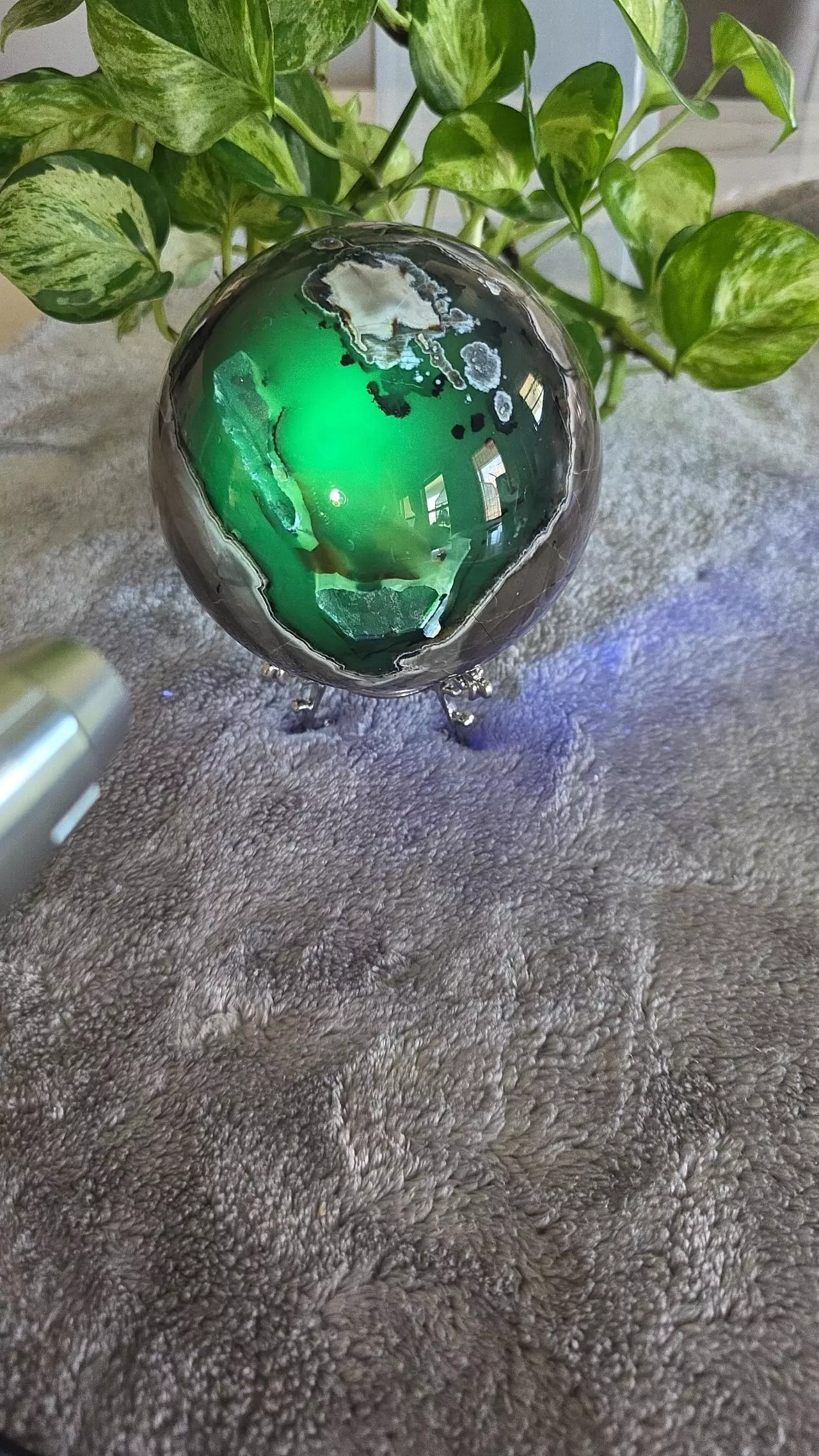 plant/5lb Volcano Agate Sphere 🛸-1