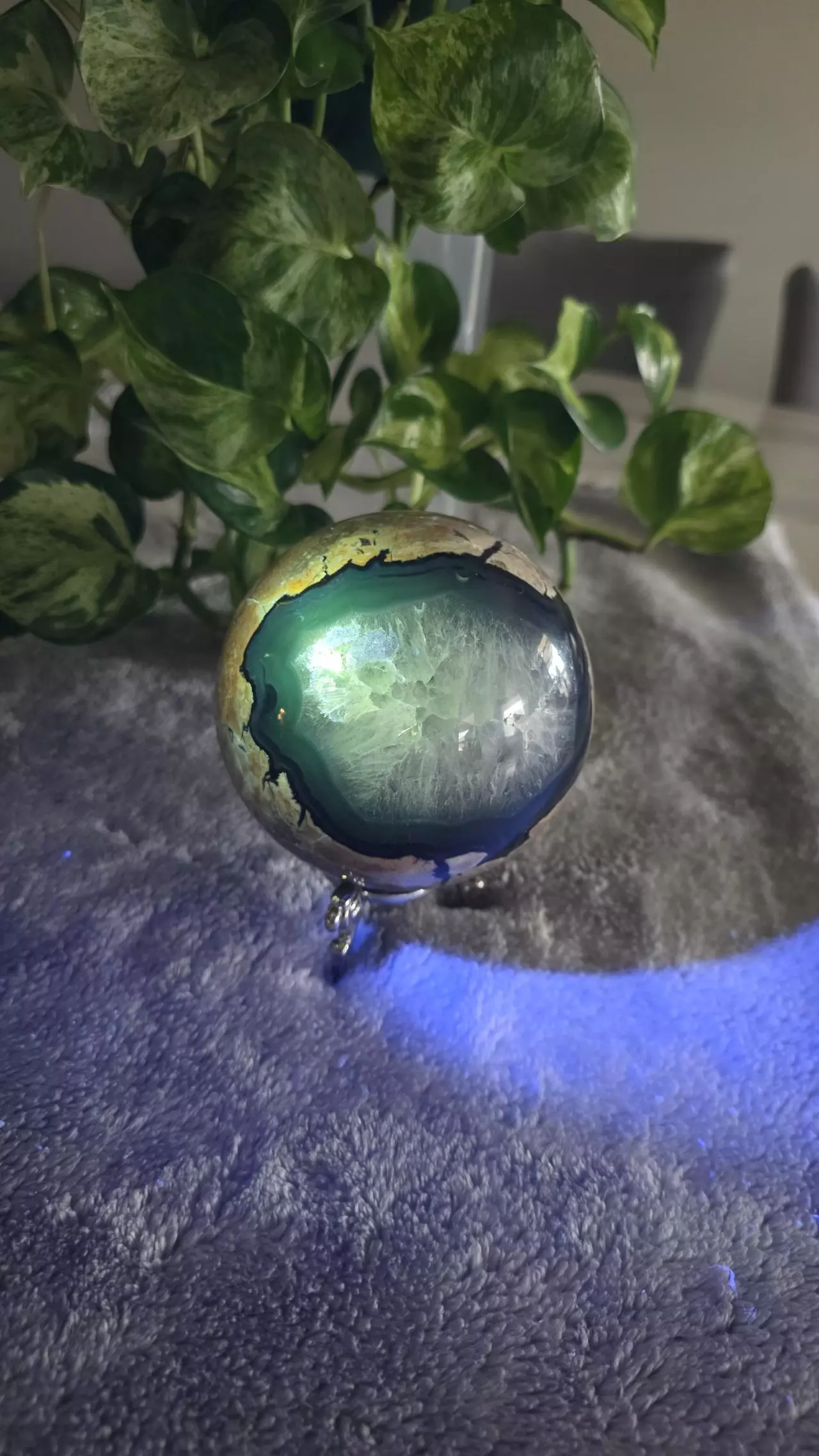 plant/3lb Volcano Agate Sphere ✨️🛸-0