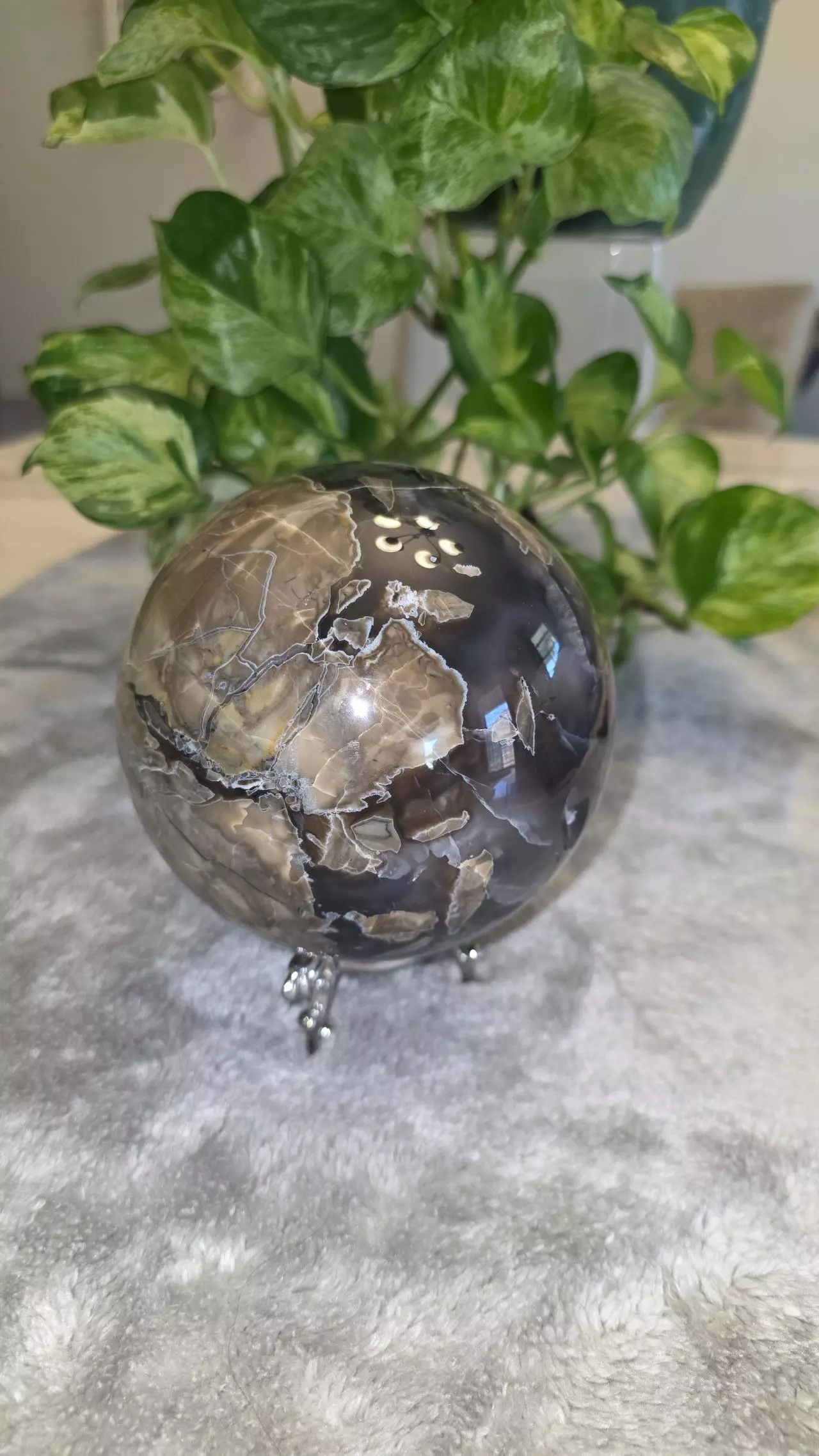 plant/5lb Volcano Agate Sphere 🛸✨️-9