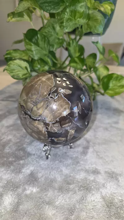 plant/5lb Volcano Agate Sphere 🛸✨️-9-thumbnail
