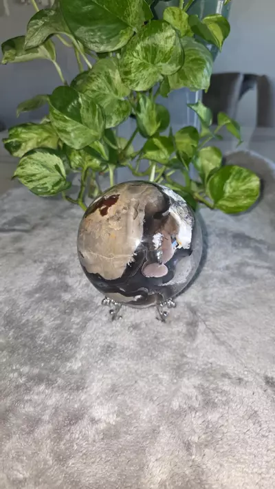 plant/4lb 4.9 oz Volcano Agate Sphere 🛸-5-thumbnail