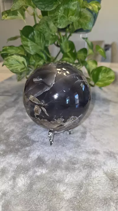 plant/5lb Volcano Agate Sphere 🛸✨️-4-thumbnail