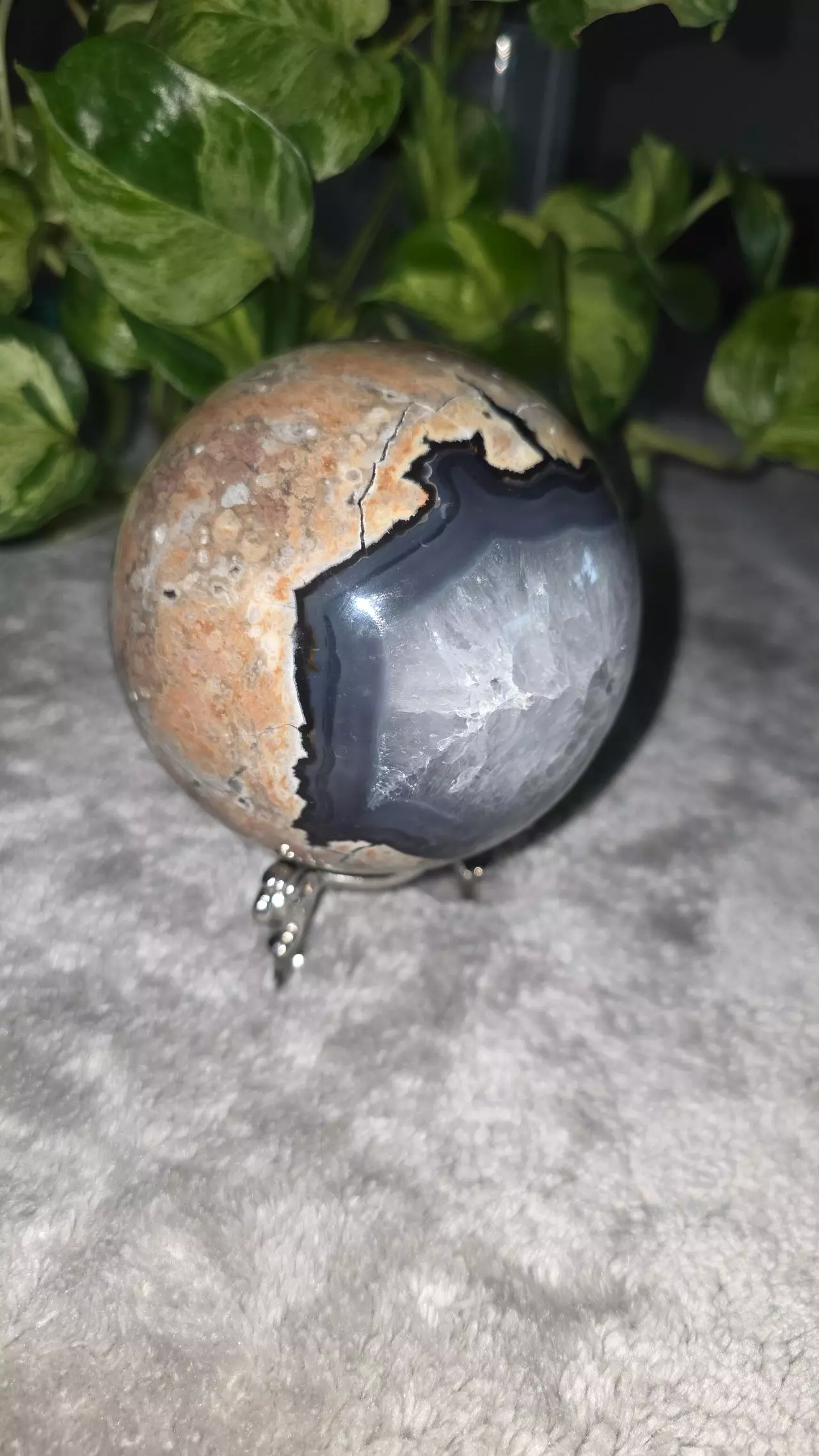 plant/3lb Volcano Agate Sphere ✨️🛸-7