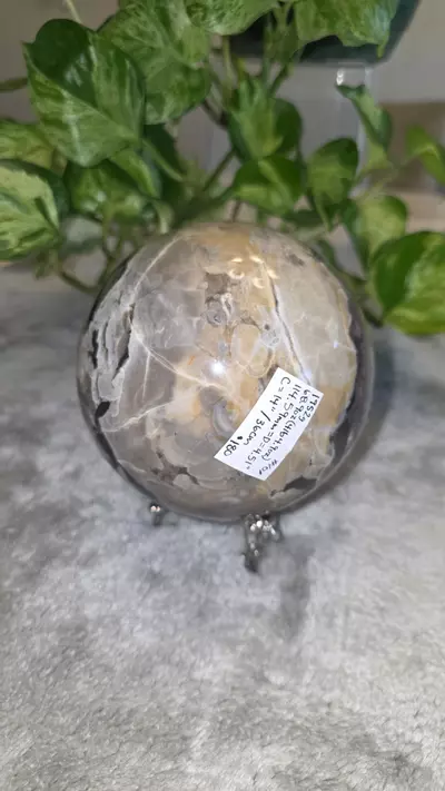 plant/4lb 4.9 oz Volcano Agate Sphere 🛸-3-thumbnail