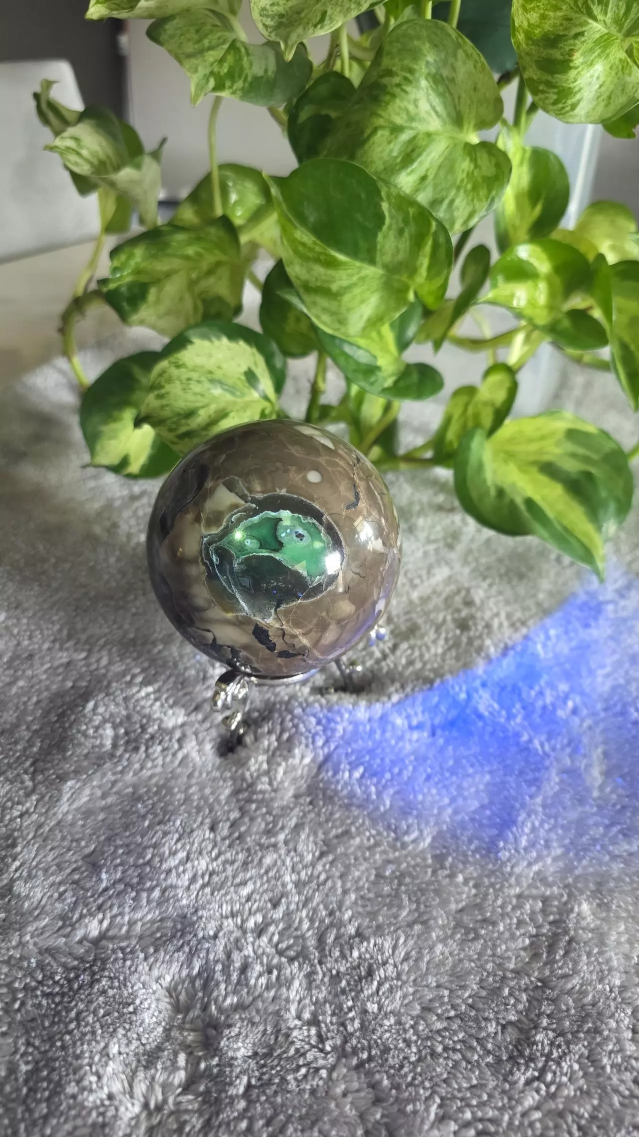 plant/1lb 8.4oz Volcano Agate Sphere 🛸-1