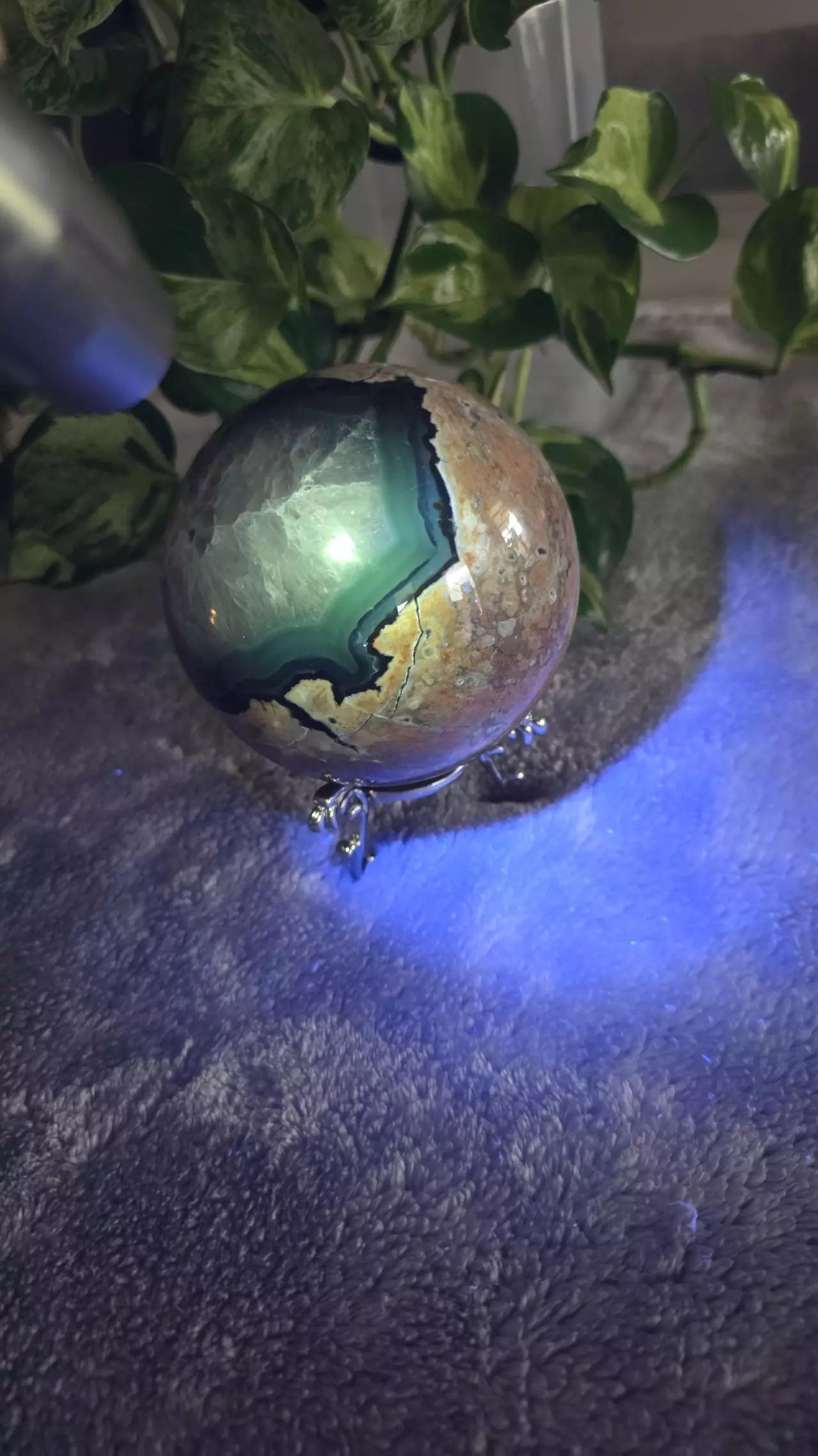 plant/3lb Volcano Agate Sphere ✨️🛸-1