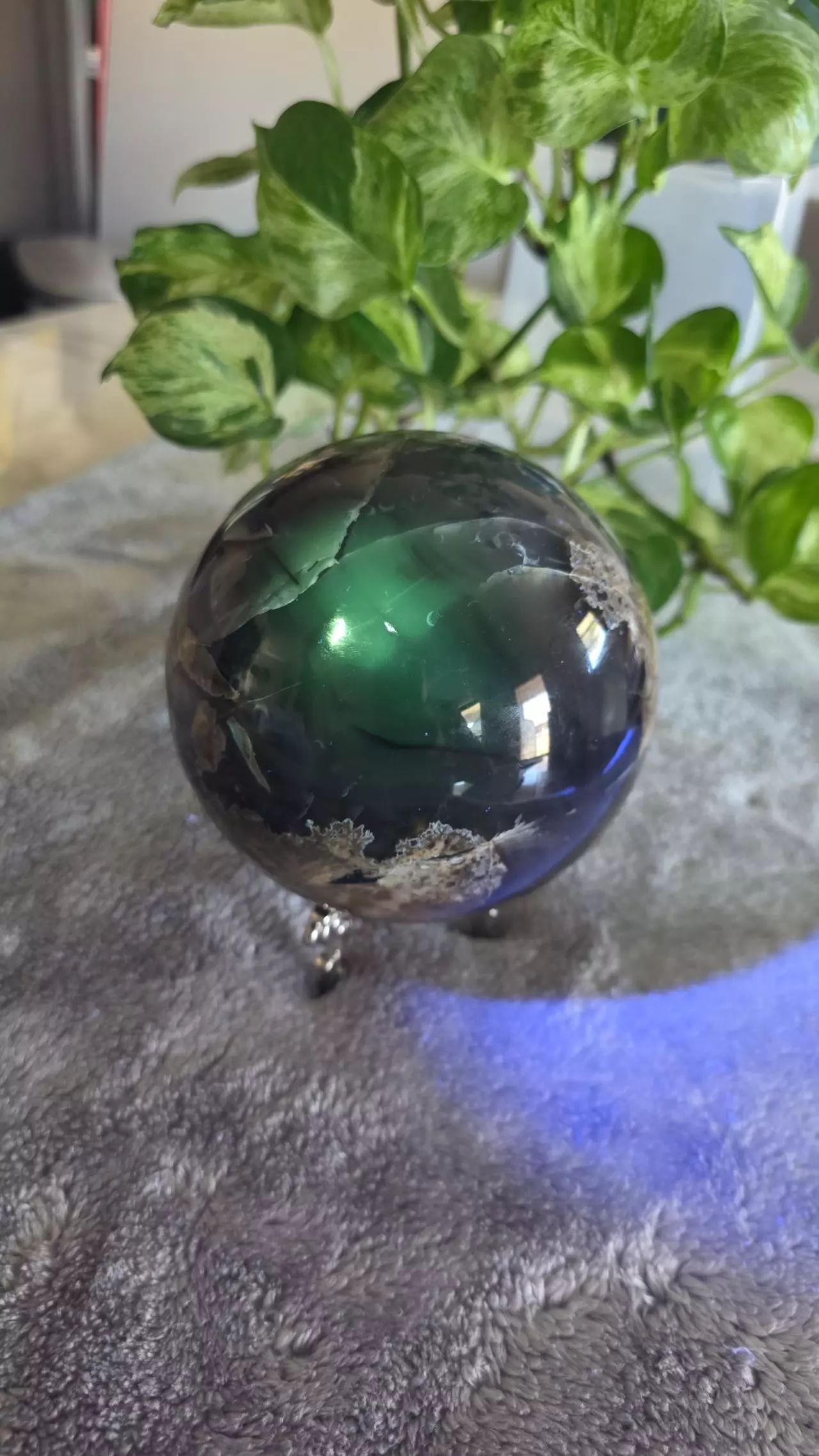 plant/5lb Volcano Agate Sphere 🛸✨️-0