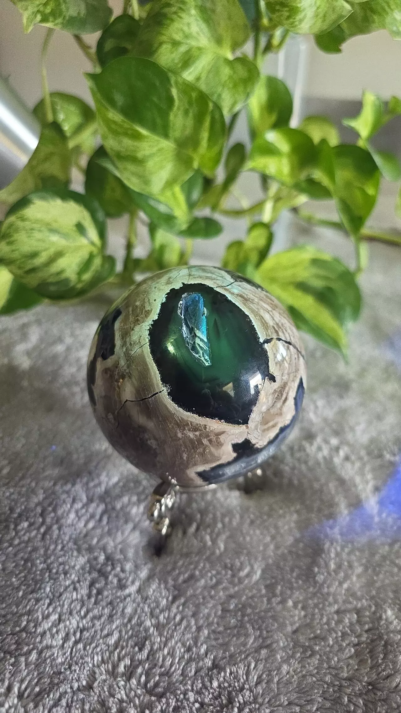 plant/1lb 7.4oz Druzy Volcano Agate Sphere 🛸-0