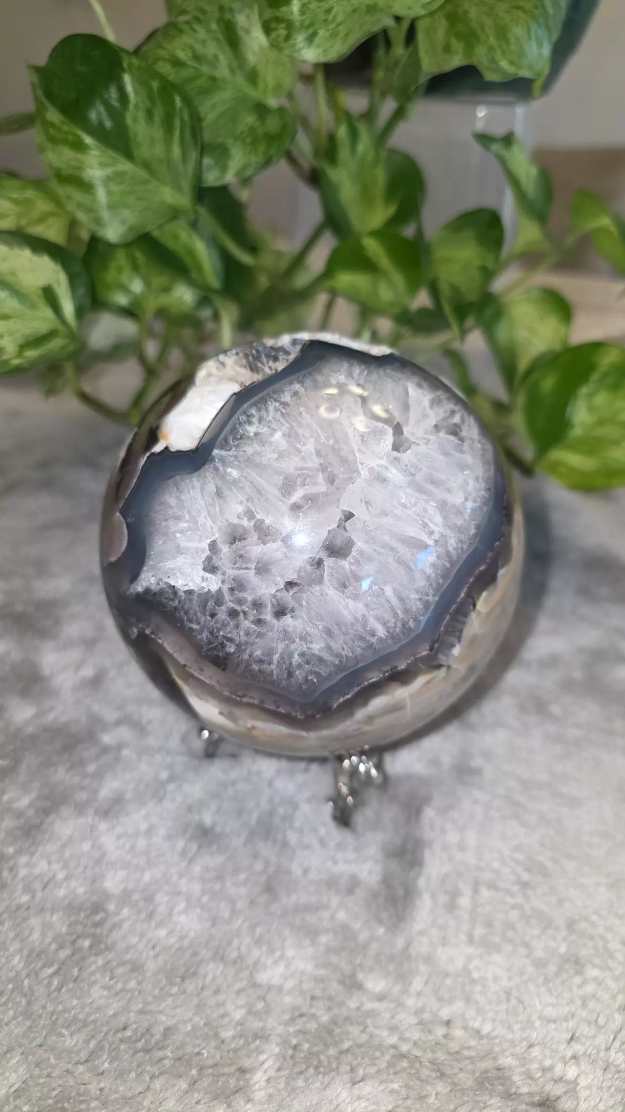 plant/4lb 4.9 oz Volcano Agate Sphere 🛸-0